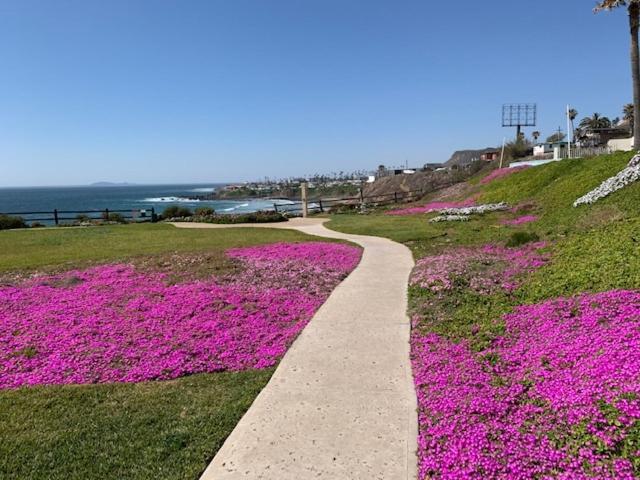BEACHFRONT CONDO w POOLS STEPS TO BEACH&MINS TO DT Rosarito Zewnętrze zdjęcie